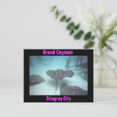 Postkarte Grand Cayman (Stehend Vorderseite)