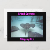 Postkarte Grand Cayman (Vorne/Hinten)