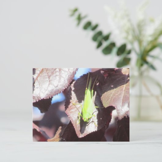 Postkarte - Grasshopper in Tree (Stehend Vorderseite)