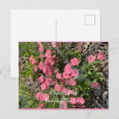 Postkarte, Größe: Standardpostkarte, Papier: Matt, Postkarte (Vorne/Hinten)