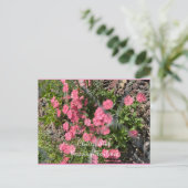 Postkarte, Größe: Standardpostkarte, Papier: Matt, Postkarte (Stehend Vorderseite)