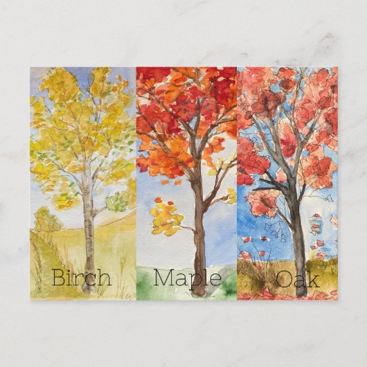 Postkarte, Größe: Standardpostkarte, Papier: Matt, Postkarte (Vorderseite)