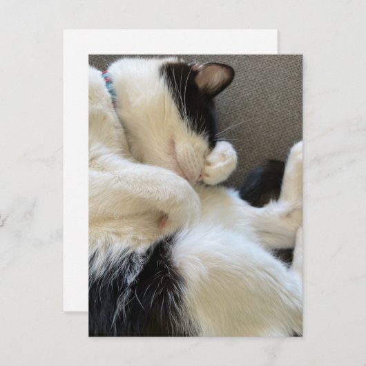 Postkarte, Größe: Standardpostkarte, Papier: Matt Postkarte (Vorne/Hinten)