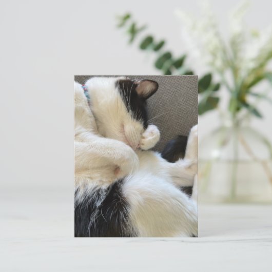 Postkarte, Größe: Standardpostkarte, Papier: Matt Postkarte (Stehend Vorderseite)