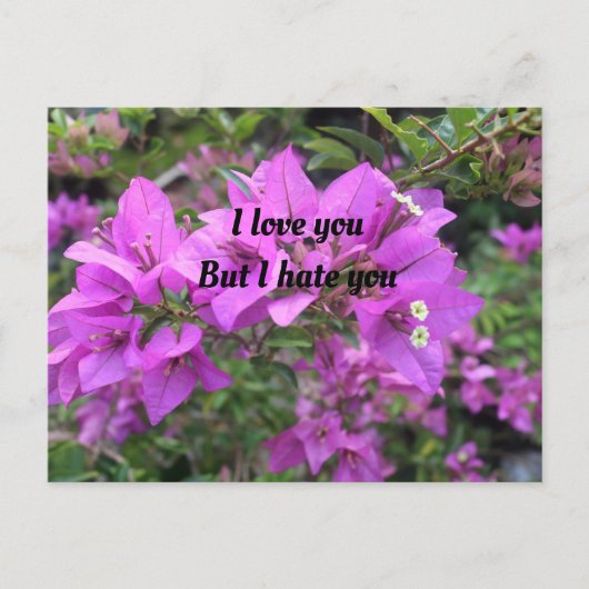 Postkarte, Größe: Standardpostkarte, Papier: Semi- Postkarte (Vorderseite)