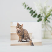 Postkarte, Größe: Standardpostkarte, Papier: Semi- Postkarte (Stehend Vorderseite)