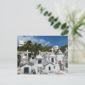 Postkarte, Größe: Standardpostkarte, Papier: Semi- Postkarte (Stehend Vorderseite)