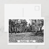 Postkarte, Größe: Standardpostkarte, Postkarte (Vorne/Hinten)