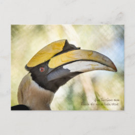 Postkarte: Großer Hornbill 4 Postkarte