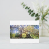 Postkarte Großer Laubbaum (Stehend Vorderseite)