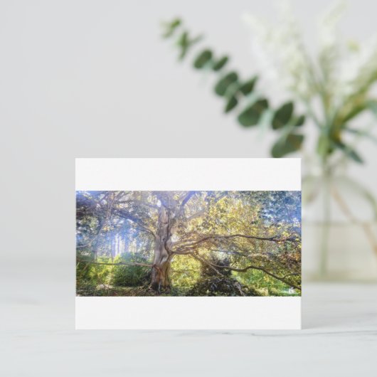 Postkarte Großer Laubbaum (Stehend Vorderseite)