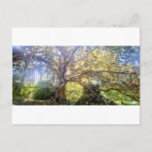 Postkarte Großer Laubbaum (Vorderseite)