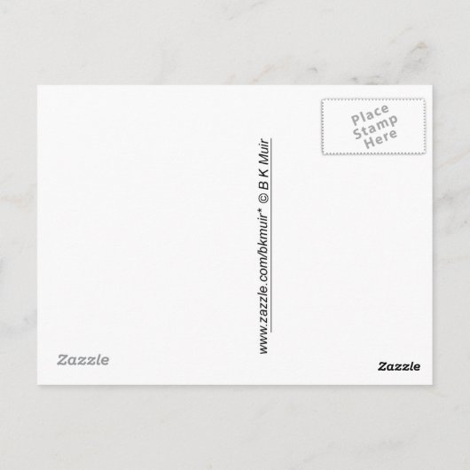 Postkarte - Gurkenkäfer (Rückseite)