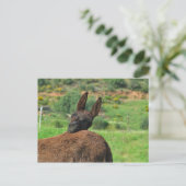 Postkarte: Happy Donkey. Algarve Postkarte (Stehend Vorderseite)