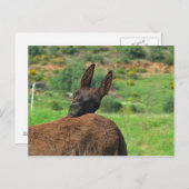 Postkarte: Happy Donkey. Algarve Postkarte (Vorne/Hinten)