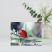Postkarte "Harriet" (Stehend Vorderseite)