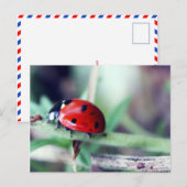 Postkarte "Harriet" (Vorne/Hinten)