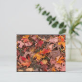 Postkarte/Herbst Postkarte (Stehend Vorderseite)