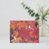 Postkarte - Herbstlaub (Stehend Vorderseite)