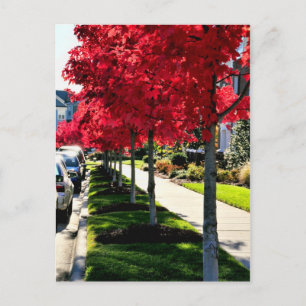 Postkarte Herbstvormittag