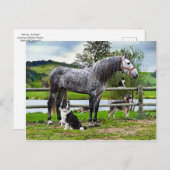 Postkarte "Hero & The Boys" (Vorne/Hinten)