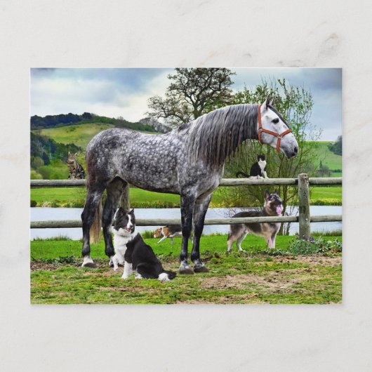 Postkarte "Hero & The Boys" (Vorderseite)