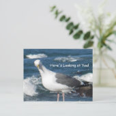Postkarte: Hier sieht man dich Gull an Postkarte (Stehend Vorderseite)