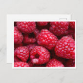 Postkarte - Himbeeren (Vorne/Hinten)