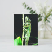 Postkarte hoch und weg (Stehend Vorderseite)