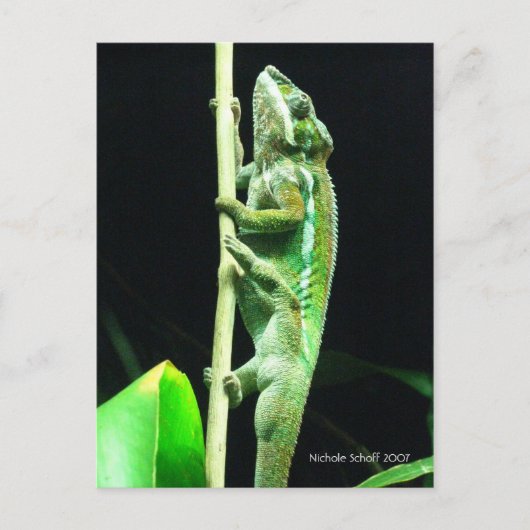 Postkarte hoch und weg (Vorderseite)