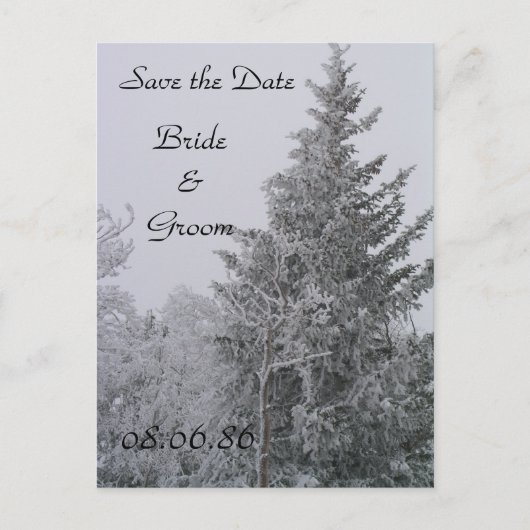 Postkarte Hochzeitskulptur Winterpine (Vorderseite)