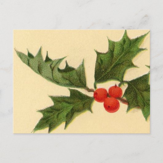 Postkarte: Holly Sprig Postkarte (Vorderseite)