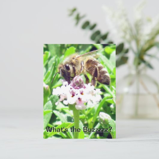 Postkarte - Honigbienenprofil (Stehend Vorderseite)