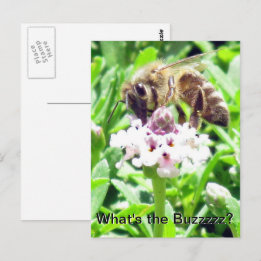 Postkarte - Honigbienenprofil