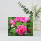 Postkarte - Hot Ticket (Stehend Vorderseite)