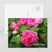 Postkarte - Hot Ticket (Vorne/Hinten)