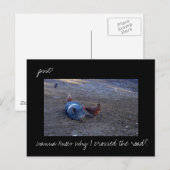 Postkarte "Hühnergeheimnisse"-Foto (Vorne/Hinten)