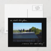 Postkarte "Hühnerpläne" für das Foto (Vorne/Hinten)