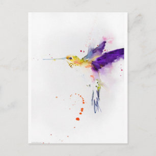 Postkarte - Humming Bird