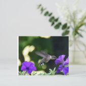 Postkarte Hummingbird (Stehend Vorderseite)