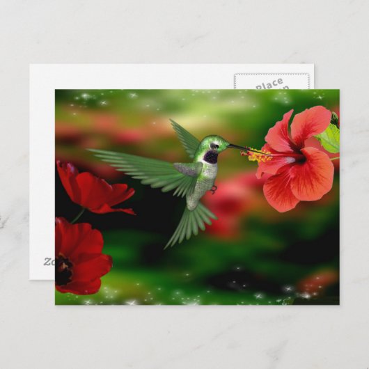 Postkarte Hummingbird (Vorne/Hinten)