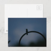 Postkarte Hummingbird (Vorne/Hinten)