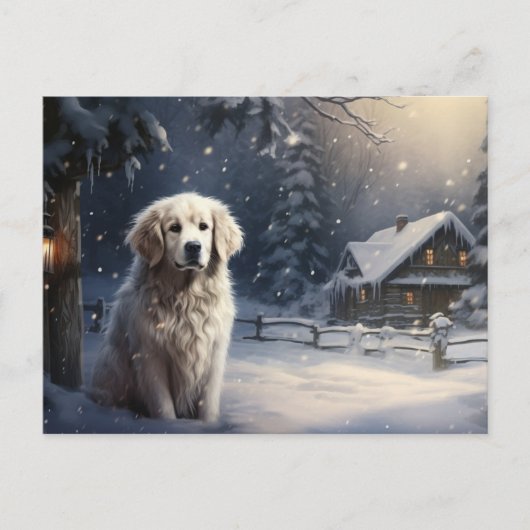 Postkarte Hund 5-10 (Vorderseite)