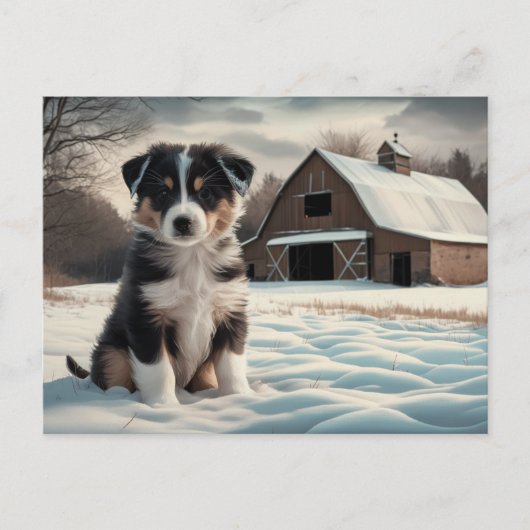 Postkarte Hund Serie 6 04 (Vorderseite)