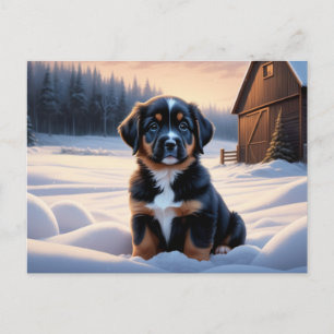 Postkarte Hund Serie 6 07