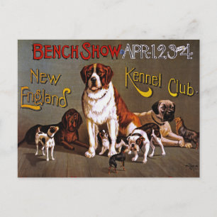 Postkarte: Hundeausstellung: Bench Show 1890 Postkarte