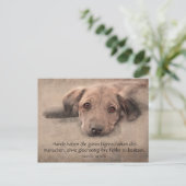 Postkarte Hundewelpe mit Zitat (Stehend Vorderseite)