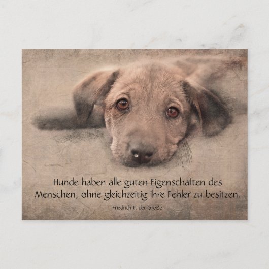 Postkarte Hundewelpe mit Zitat (Vorderseite)