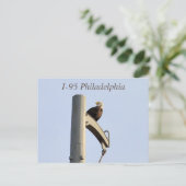 Postkarte I-95 Philadelphia Bald Eagle (Stehend Vorderseite)