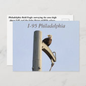 Postkarte I-95 Philadelphia Bald Eagle (Vorne/Hinten)